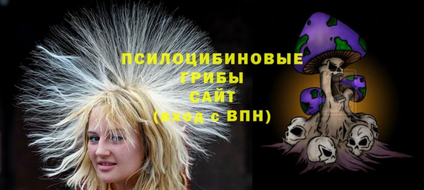 тгк Верхний Тагил