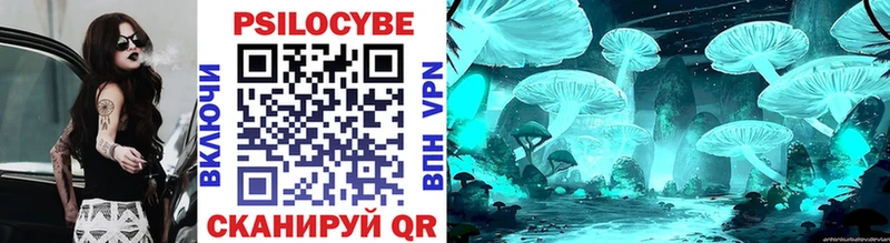Псилоцибиновые грибы Psilocybine cubensis  Вытегра 
